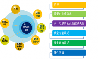 肝硬化的营养治疗