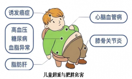 家长们看过来：“小神兽”拒当“小胖墩儿”